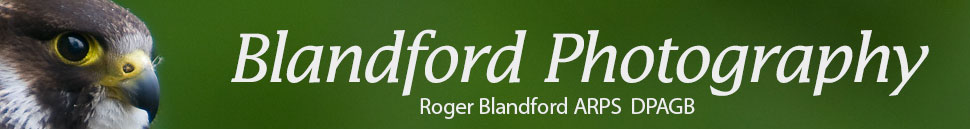 Blandford Photography