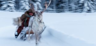 Reindeer Racing, Finland